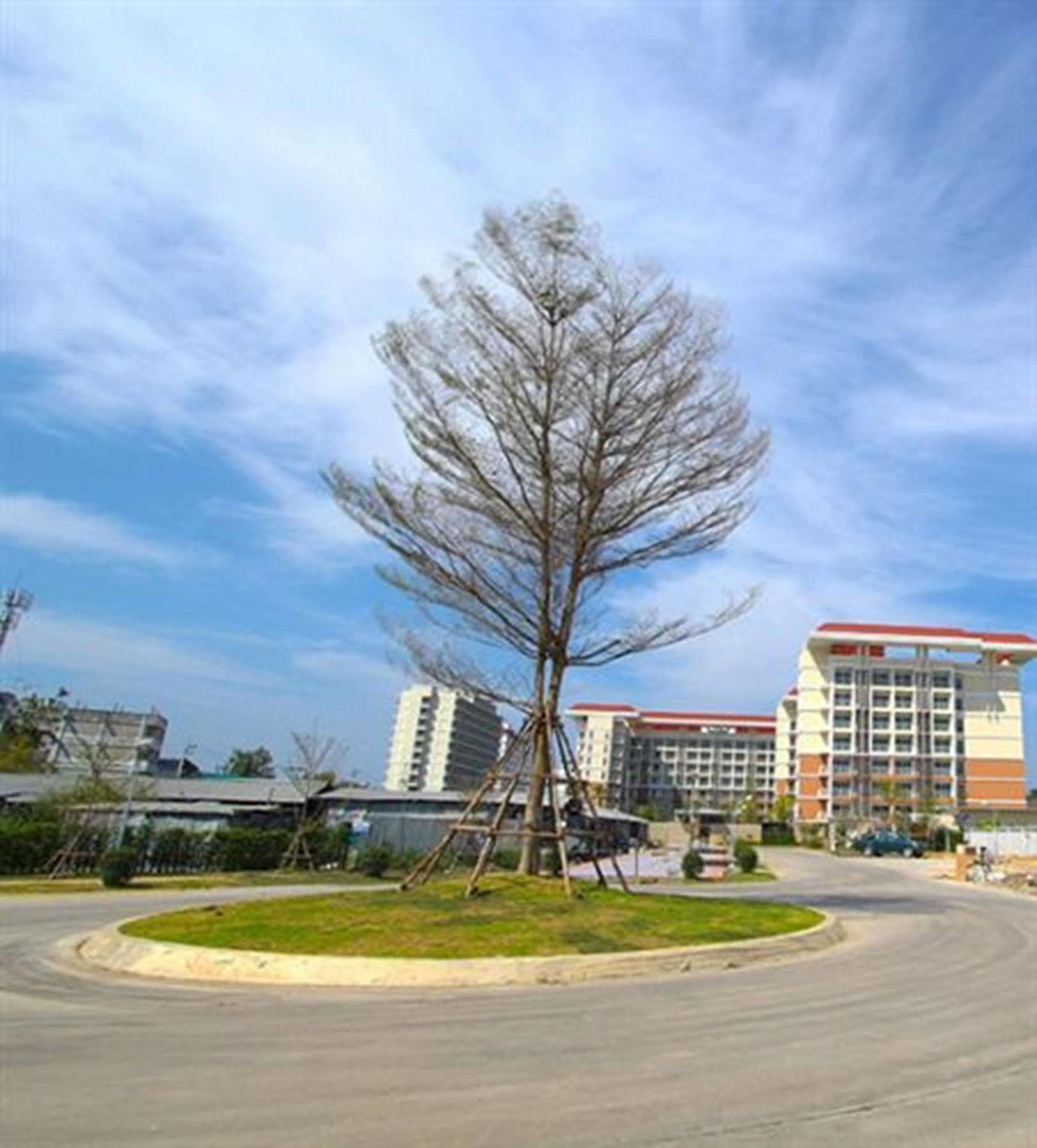 Grow Residences Bangkok Exteriér fotografie